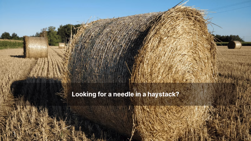 agencies in Wrocław